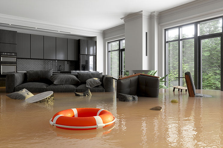Water Leak Detection Solutions: Two Ways to Help Prevent Expensive Water Damage